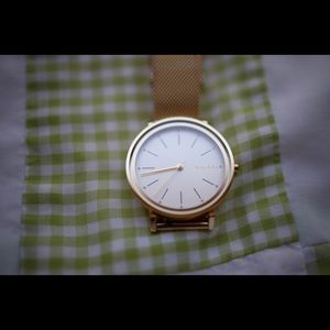 Skagen Hald Round Mesh Strap 34mm Watch